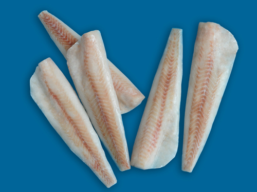 Cod Fillet