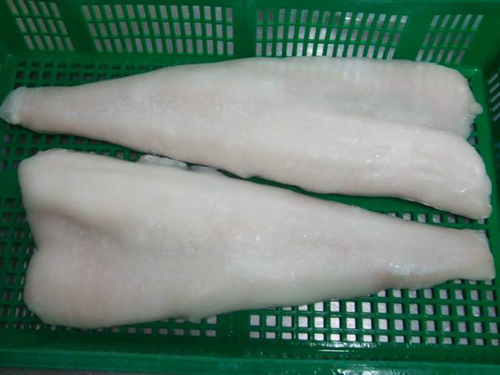 Light Salted Cod Fillet
